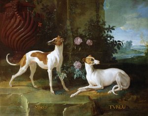 Misse et Turlu, deux lévriers de Louis XV